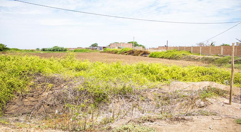 VENTA DE TERRENO DE 9315 M2 EN CARRETERA A PIMENTEL
